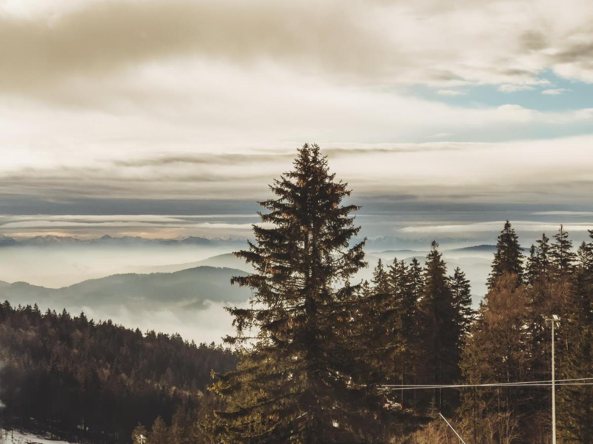 Boehmerwald Pur2 Klaffer am Hochficht Luaran gambar