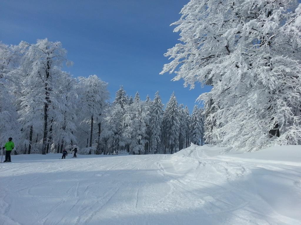 Boehmerwald Pur2 Klaffer am Hochficht Luaran gambar